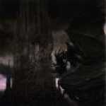 thumb_183 (Medium).jpg